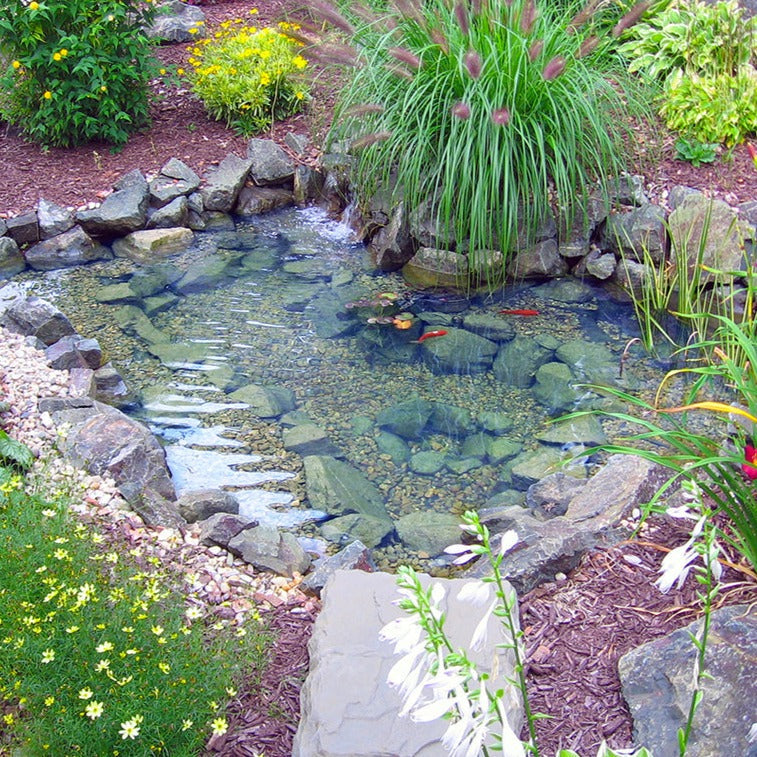 ET66FB Pro-Series Mini Pond Kit complete for 6 foot by 6 foot pond