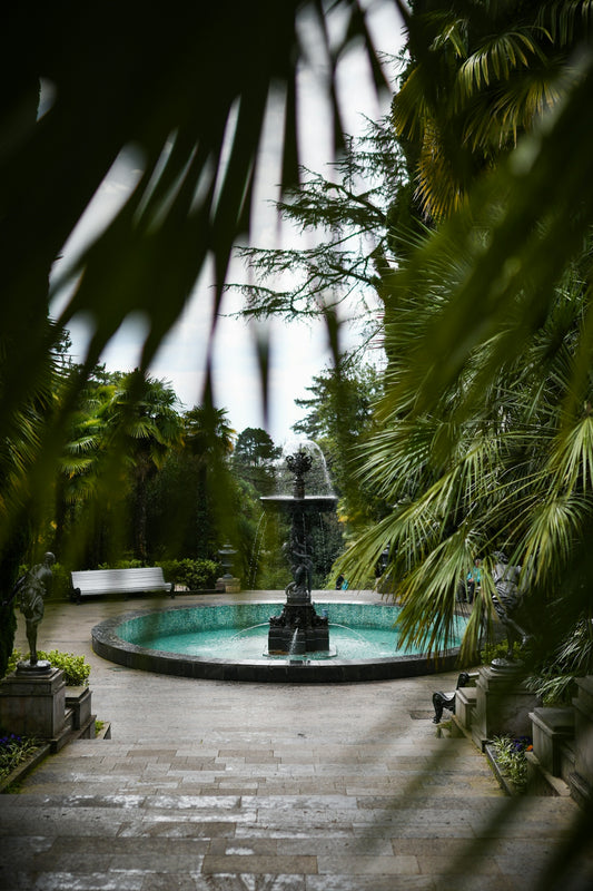 a fountain surrounded by trees in a garden